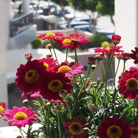 Apartment Chill For An Ibiza Experiencience *