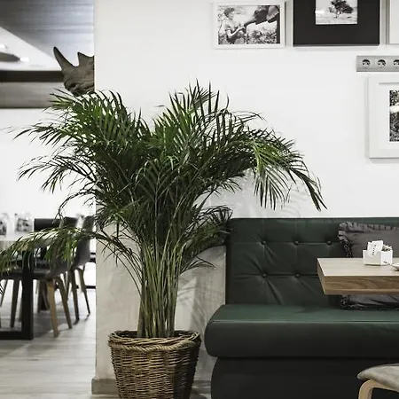 Vibra Mogambo - Adults Only Aparthotel 3*