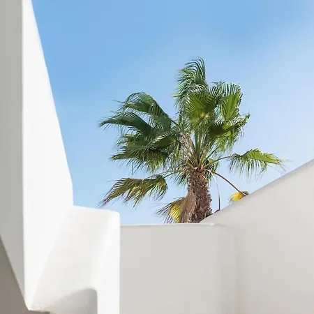 Apartment Bossa Collection Playa d'en Bossa